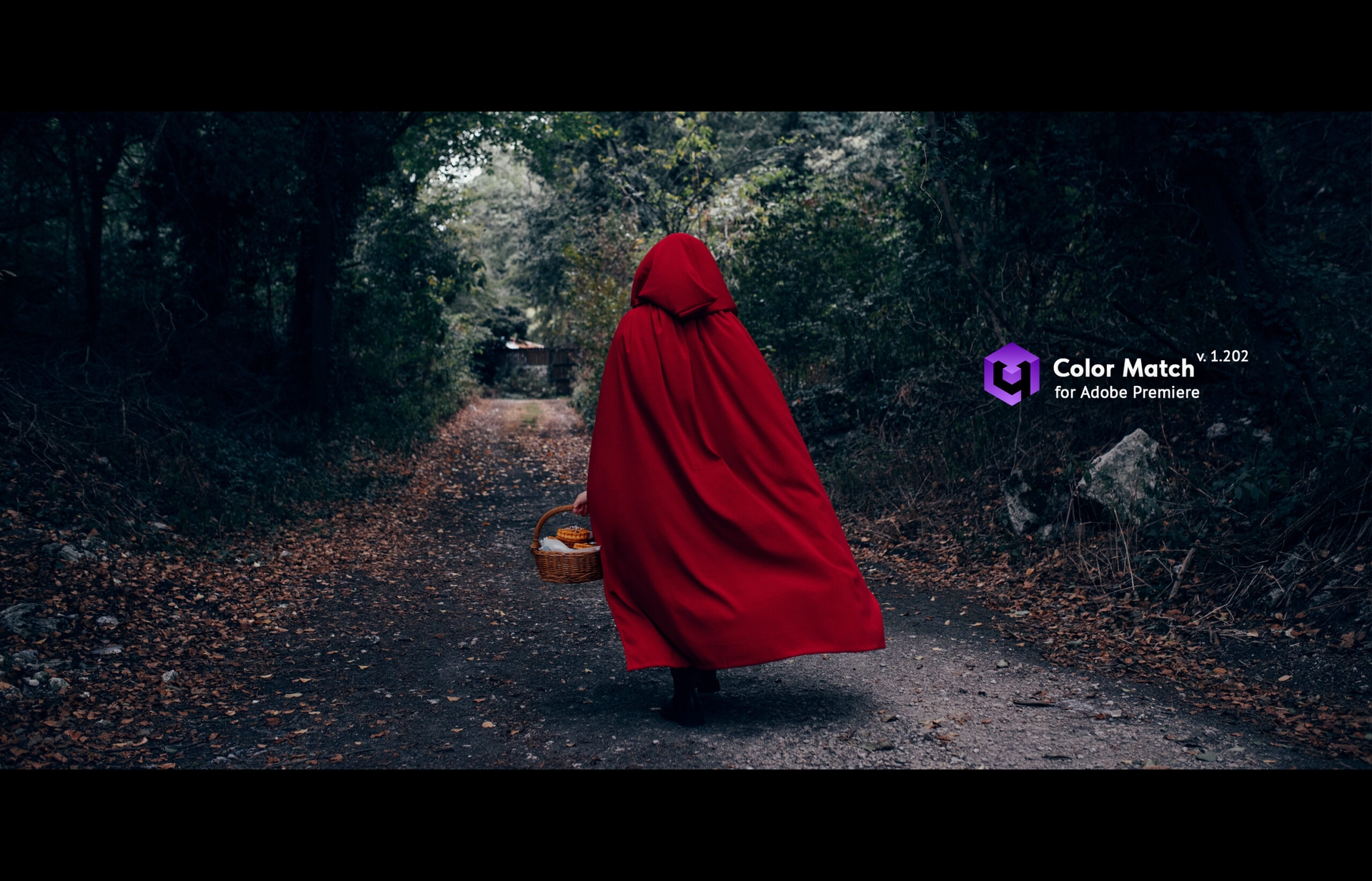 업데이트: Color Match for Premiere 버전 1.202 출시